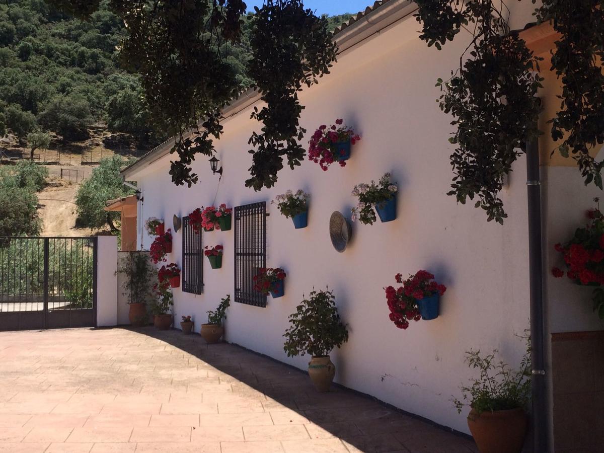 Villa La Quinta Priego De Cordoba Exterior photo